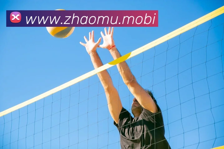 多媒体互动体验